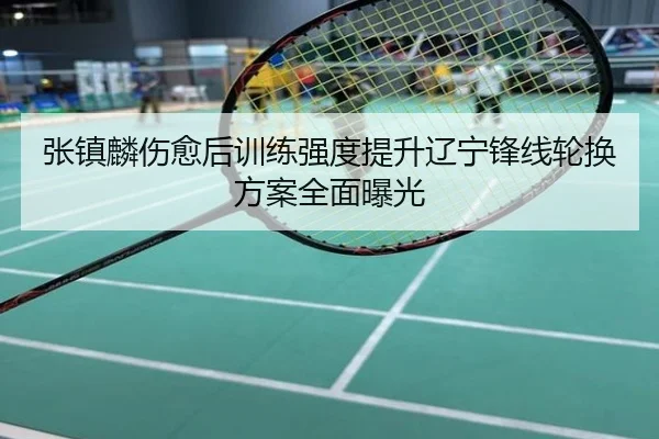 张镇麟伤愈后训练强度提升辽宁锋线轮换方案全面曝光