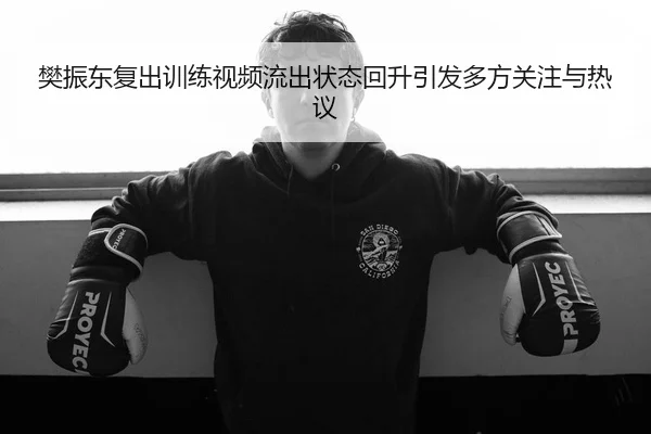 樊振东复出训练视频流出状态回升引发多方关注与热议