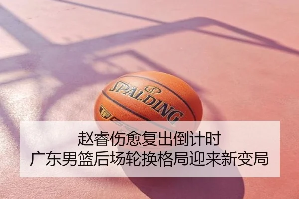 赵睿伤愈复出倒计时 广东男篮后场轮换格局迎来新变局